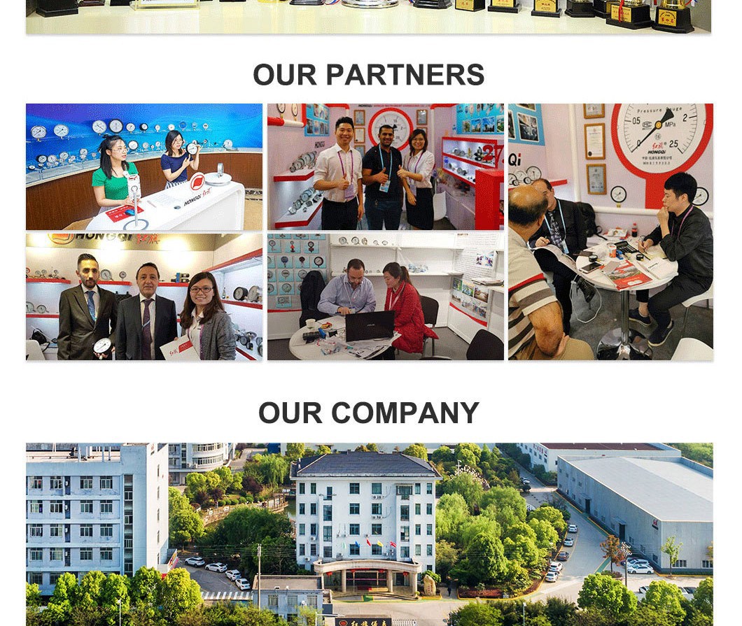 China Zhejiang Hongqi Instrument Co., LTD-2