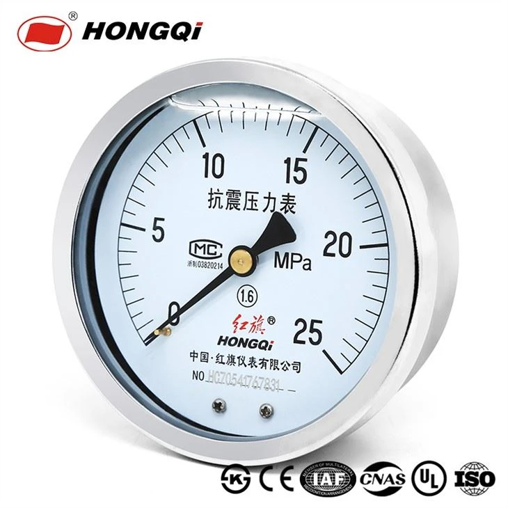 Hongqi Series Steel Economy Pressure Gauge, 0-25Mpa, M20*1.5 Back Mount